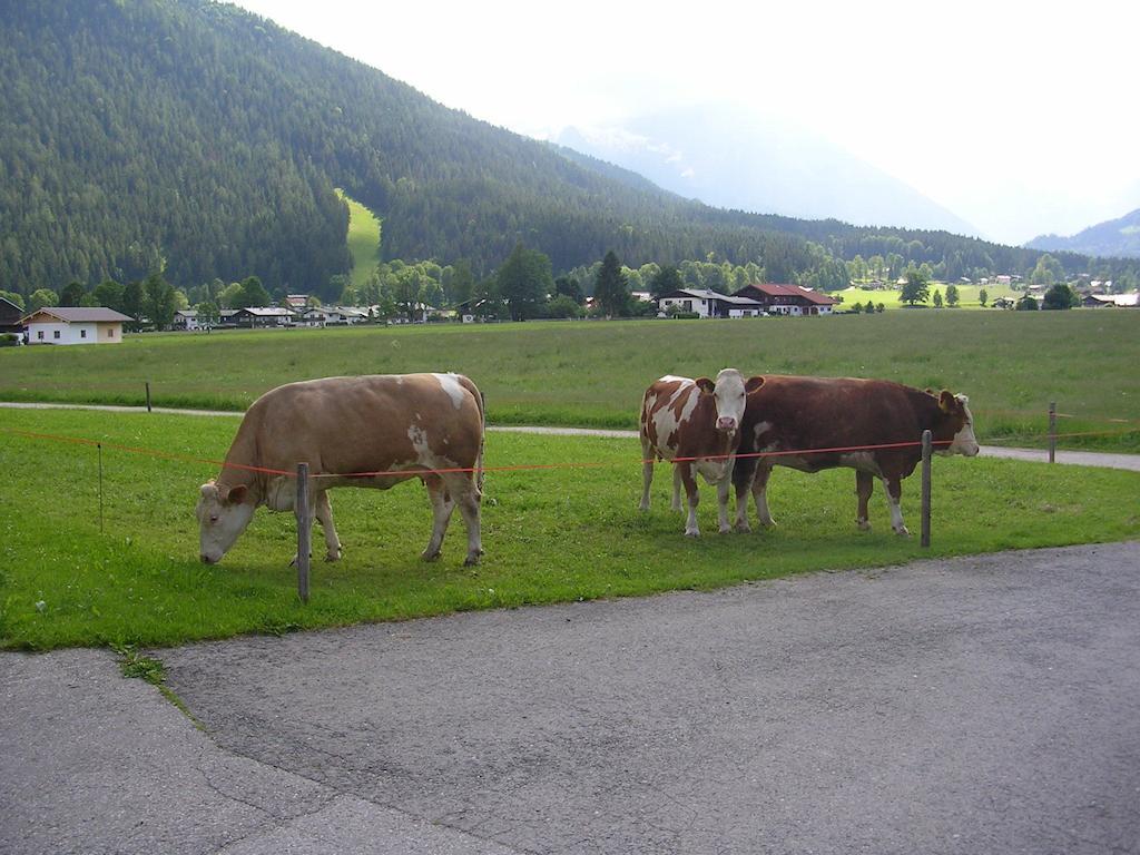 Hotel Gaestehaus Bodnerlehen Schönau am Königssee Pokój zdjęcie